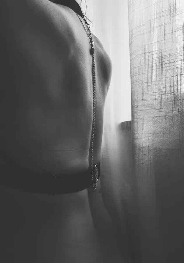 Apolline_