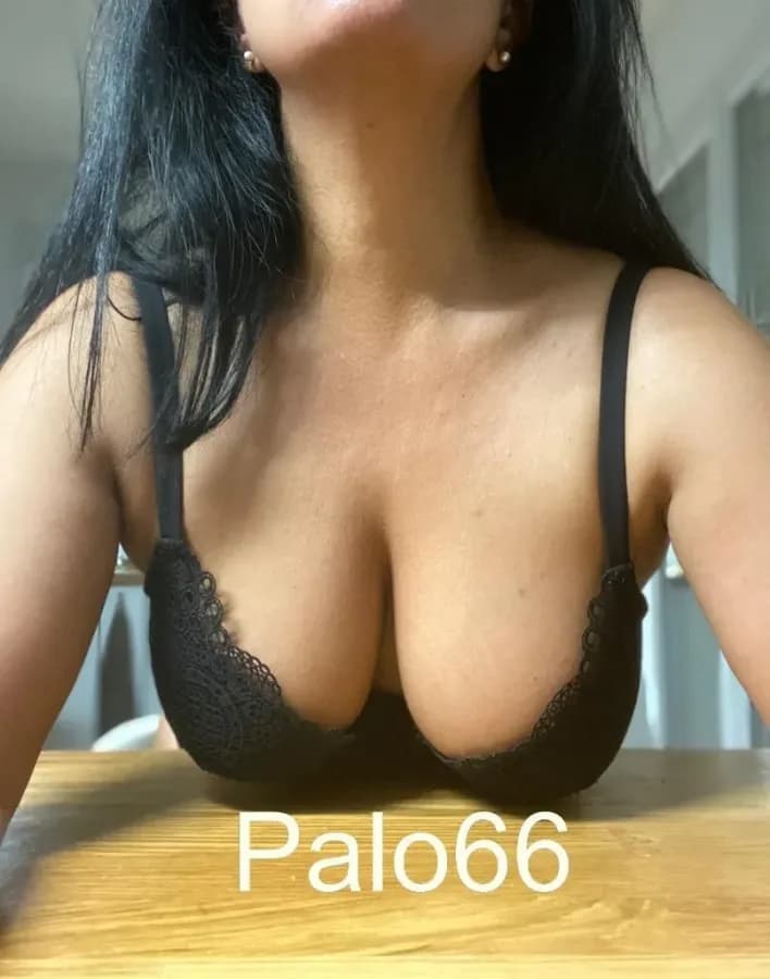 Palo66